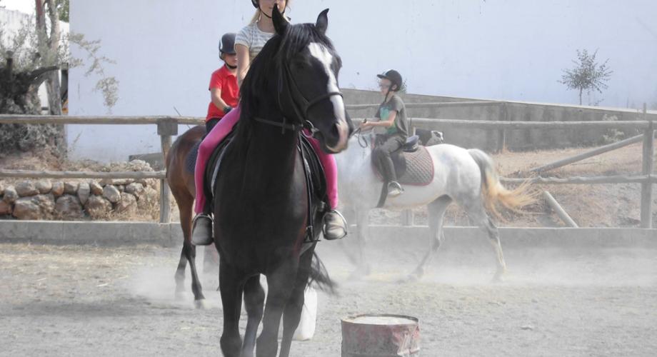 Lessons at English Horse Camp - Cortijo Las Minas