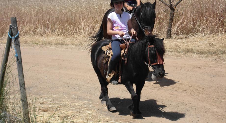 Paseos en poney - Cortijo Las Minas