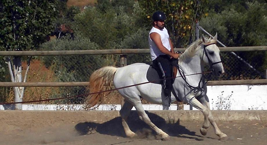 Cursos de Equitación - Cortijo Las Minas