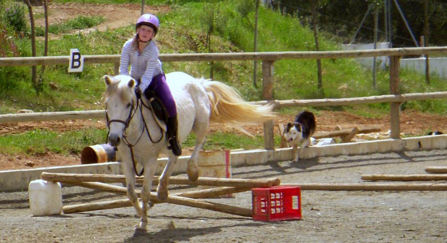Ejercicio Salto Clase Equitación- Cortijo Las Minas